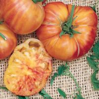 Pineapple Tomato