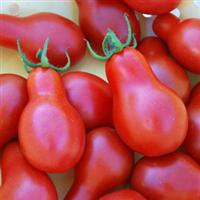 Red Pear Tomato
