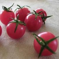 Sweet Treats Tomato
