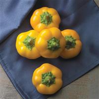 Hungarian Cheese Pepper Yes to Yellow! Pepper
