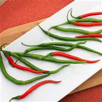 Gong Bao Pepper