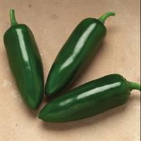 Jalafuego Pepper