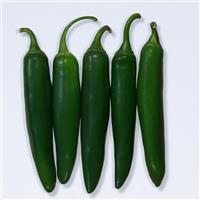 Pathfinder Pepper