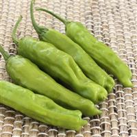 Takara Pepper