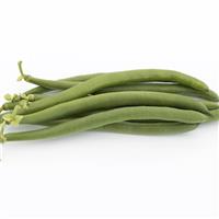 Dark Horse Bean