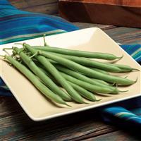 Prevail Bean