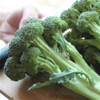 Skytree Broccoli