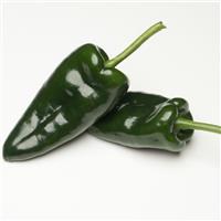 Obsidiana Pepper