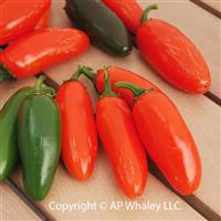 Spice Orange Pepper
