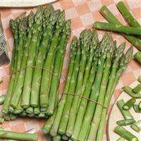 UC 157-F2 Asparagus