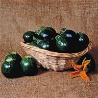 Eight Ball Squash
