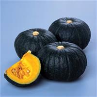 Kurihomare Squash