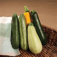 Summer Surprise Mix Squash