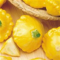 Sunny Delight Squash