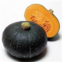Sweet Mama Squash