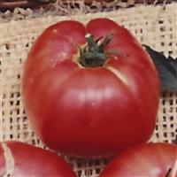 German Johnson Tomato
