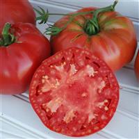 Pruden's Purple Tomato
