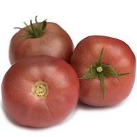 Purple Boy Tomato