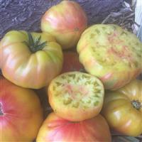 Striped German Tomato