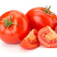 Wisconsin 55 Tomato