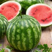 Cal Sweet Bush Watermelon