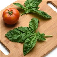 Newton Basil