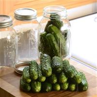 GherKing Cucumber