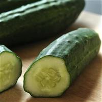 Patio Snacker Cucumber