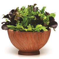 Alfresco Mixture SimplySalad®