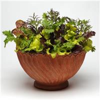 Global Gourmet Mixture SimplySalad®