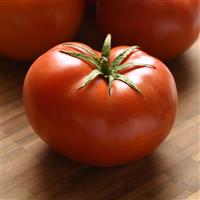 Loki Tomato