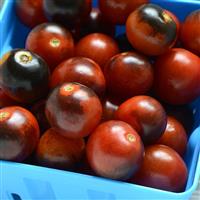 Midnight Snack Tomato