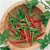 De Arbol Pepper