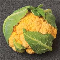 Flame Star Cauliflower