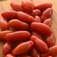 Ruby Dipper Tomato