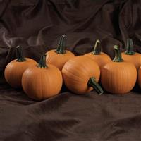 Kandy Korn Plus Pumpkin