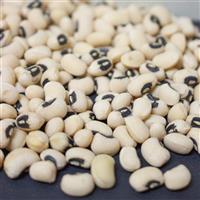 California Black Eye Bean