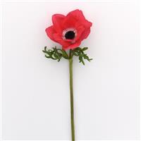 Mona Lisa<sup>®</sup> Pink Anemone