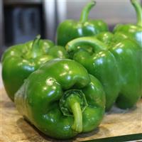 Better Belle V Pepper