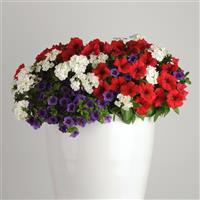 Liberty Bell 26 Trixi®