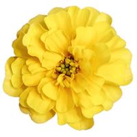 Milli Vanilli French Marigold