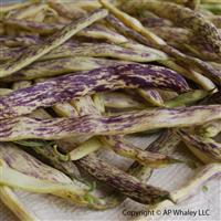 Dragon Tongue Bean