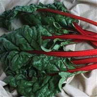 Rhubarb Swiss Chard