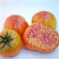 Mr. Stripey Tomato