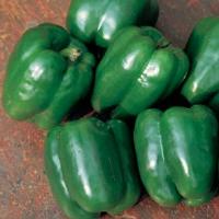 Lady Bell Pepper