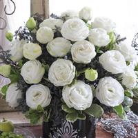 Cupid 3 White Cut Flower Lisianthus