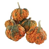 Zombie Pumpkin