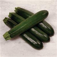 Payout Squash