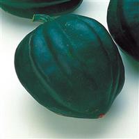 Table Ace Squash