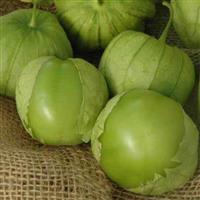Tamayo Tomatillo